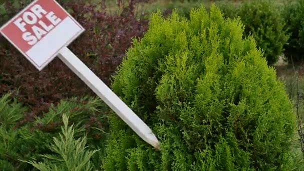 Schild zum Verkauf am Baum — Stockvideo