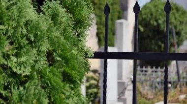 Ukrayna'da bir Yahudi Mezarlığı.