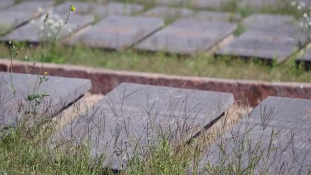 Cemitério judaico na Ucrânia . — Vídeo de Stock