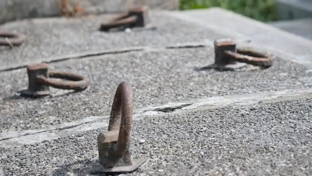 Temető régi sírok benőtt a borostyán — Stock videók