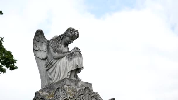 Angel staty i en kyrkogård — Stockvideo