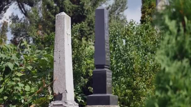 Friedhof. Alte Gräber mit Efeu überwuchert — Stockvideo
