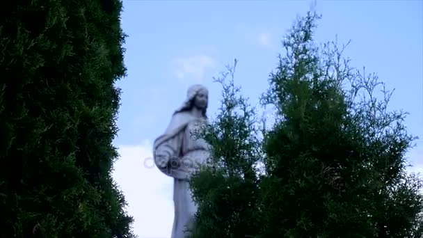 在天空和树上的一座公墓里的雕像 — 图库视频影像
