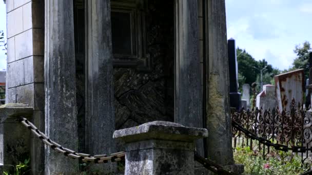 Cemetery. Old graves overgrown with ivy — Stock Video