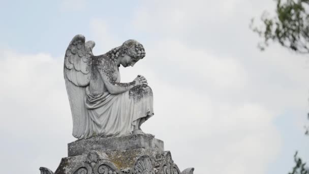 Angel statue in a cemetery — Stock Video