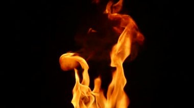 siyah bir arka plan yavaş ateşte dilleri