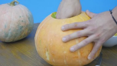 Bir adam kaşık toz Pepita bir kabak pasta yapmak veya bir Jack o Lantern.The kış kabak oymak için bir kabak dan sonbahar Halloween, Şükran günü, hasat partiler kabak Spice latte gibi ruhu temsil ediyor.