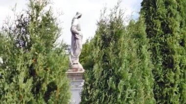 Bir mezarlık ağaçlarıyla heykeli
