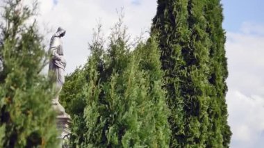 Bir mezarlık ağaçlarıyla heykeli