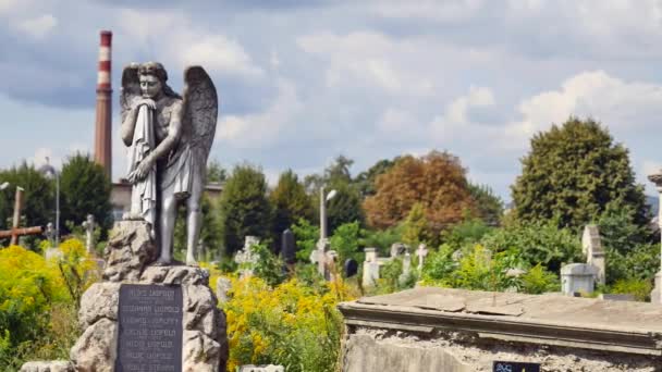Staty i en kyrkogård med moln — Stockvideo