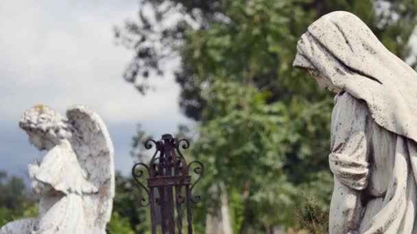 Angel statue in a cemetery — Stock Video