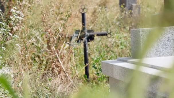 Cimitero Vecchie tombe ricoperte di edera — Video Stock