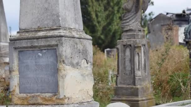 Friedhof alte Gräber mit Efeu überwuchert — Stockvideo