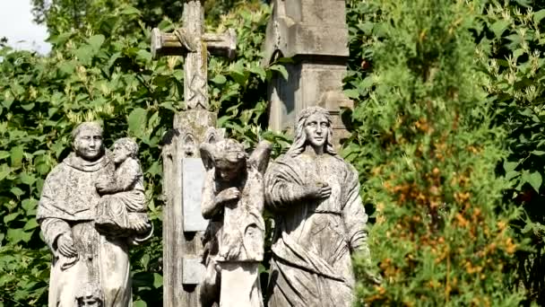 Estatua en un cementerio sobre los árboles — Vídeos de Stock