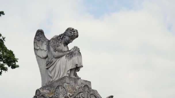 Angel staty i en kyrkogård — Stockvideo