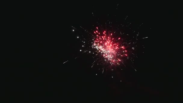 Farbenfrohes Feuerwerk in der Urlaubsnacht — Stockvideo