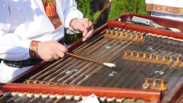 Tocando el instrumento musical folclórico dulcimer de Europa, tocando los platillos, el platillo, un joven tocando platillos, instrumento musical dulcimer, platillos Hutsul, dulcimer Cárpatos — Vídeos de Stock