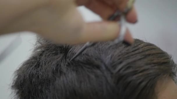 Mens hairstyling in a barbershop or hair salon. Barbershop — Stock Video