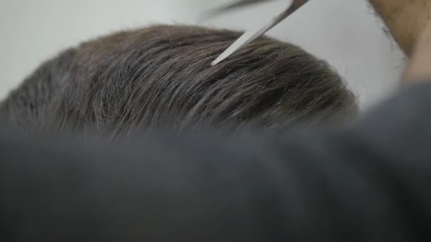 Penteado masculino em uma barbearia ou salão de cabeleireiro. Barbearia — Vídeo de Stock