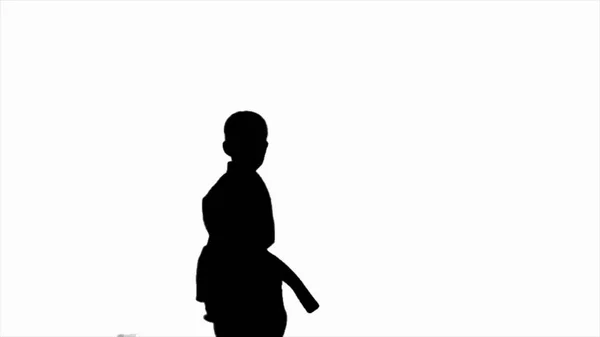 Ein Karate im schwarzen Kimono auf weißem Hintergrund, Klarheit und sanfte Bewegung, Silhouette, Kampfkunst — Stockfoto