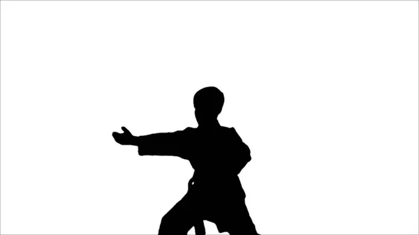Un karate in kimono nero su sfondo bianco, chiarezza e movimento liscio, silhouette, arti marziali — Foto Stock