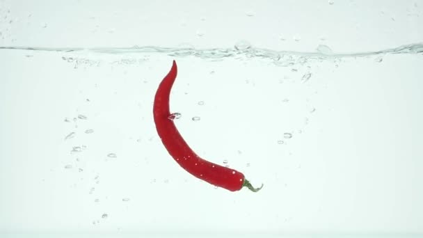 Chili faller i vattnet. Slow motion — Stockvideo