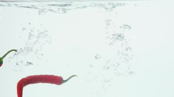 Chili fällt ins Wasser. Zeitlupe — Stockvideo