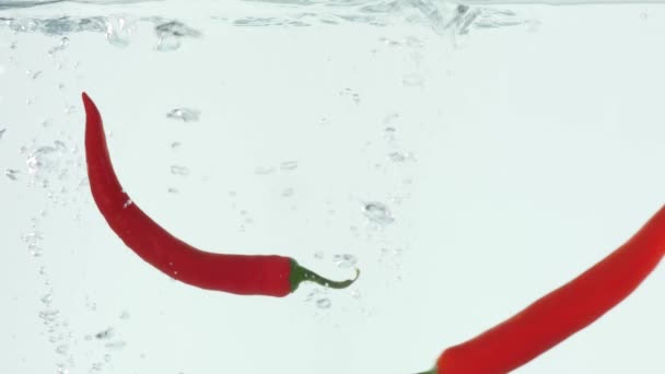 Chili fällt ins Wasser. Zeitlupe — Stockvideo