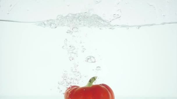 Paprika patří ve vodě — Stock video