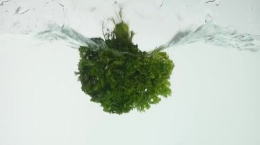 Suya düşen demet maydanoz izole