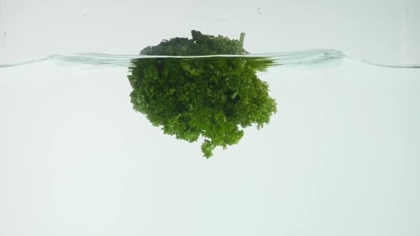 Bunch of parsley isolated falling in water — Stock Video