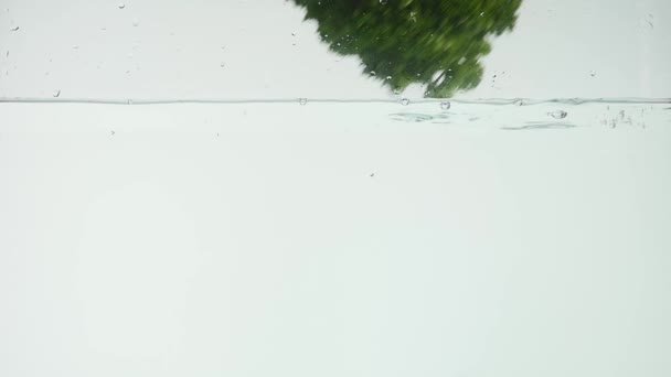 欧芹束分离落在水中 — 图库视频影像