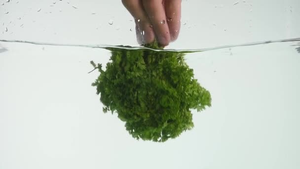 Bunch of parsley isolated falling in water — Stock Video