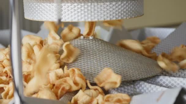 Factory production of fried corn snacks — Stock Footage Factory production of fried corn snacks Video Clip