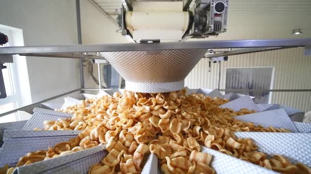 La producción de bocadillos se mueve en el transportador en la fábrica — Vídeo de stock