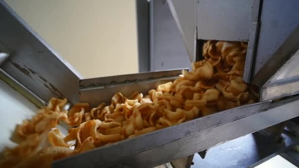 Snacks produktionslinjen på fabriken — Stockvideo