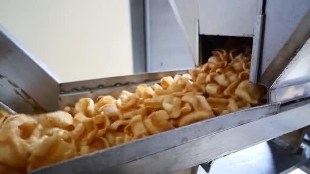 Snackes op transportband van de productie van voedsel fabriek — Stockvideo