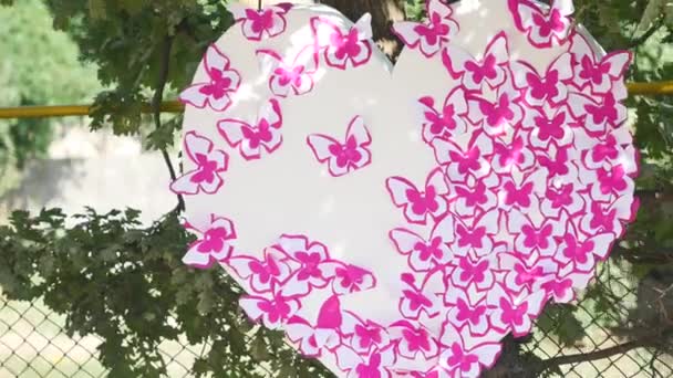 Wedding decorations. Heart on a tree branch in the sun — Stock Video