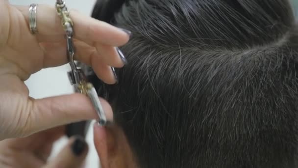 La peluquera de las mujeres hace peinar su cabello en el pelo corto. cámara lenta — Vídeo de stock