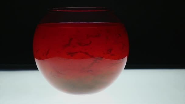 Rote Farbe in einem Aquarium mit Wasser. Abstraktion — Stockvideo