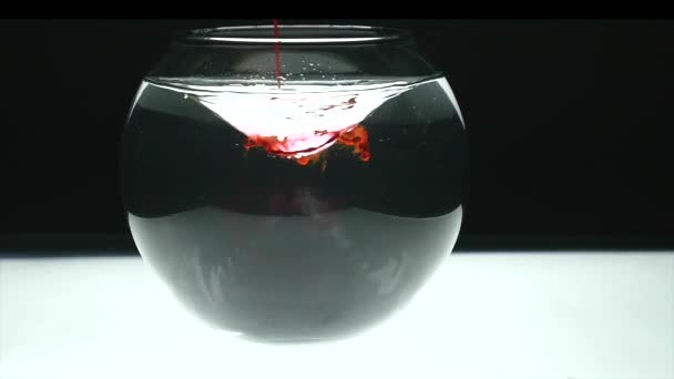 Rote Farbe rotieren in einem Aquarium mit Wasser. Abstraktion — Stockvideo