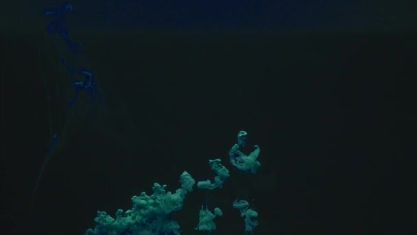 Upuszczanie niebieskim tuszem w wodzie fotografowania — Wideo stockowe
