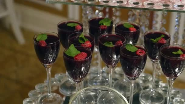 Gläser mit alkoholischen Getränken mit Himbeeren — Stockvideo