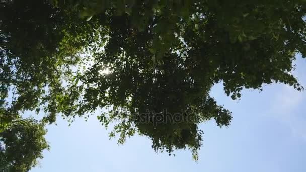 Tavolo pieno di cibo. Tavoli serviti nel ristorante — Video Stock