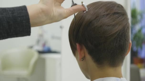 La peluquera de las mujeres hace peinar su cabello en el pelo corto — Vídeos de Stock