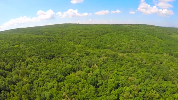 Imagem aérea do drone da paisagem agrícola — Vídeo de Stock