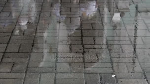 Rain-soaked cobblestones of Roman street — Stock Video