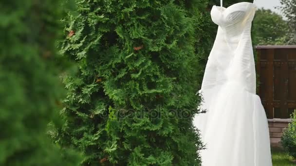 Biała suknia wisi na drzewie zielony, biały Drużki wiszące wśród gałęzi drzewa — Wideo stockowe