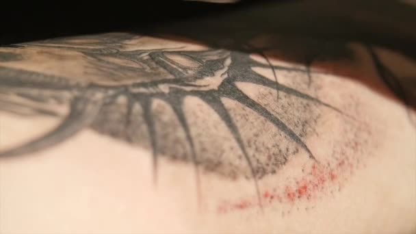 문신 예술가 문신 스튜디오에서 몸에 문신 확인 합니다. 클로즈업 — 비디오