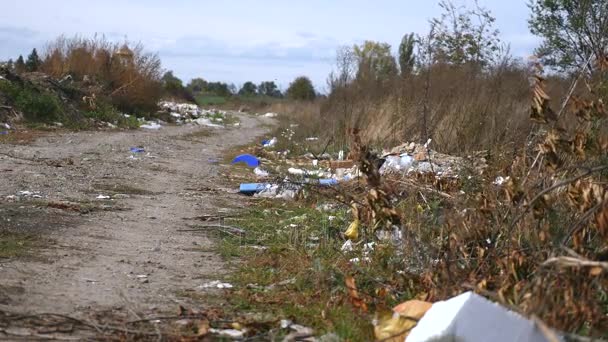 Débris jetés le long de la route dans la forêt — Video